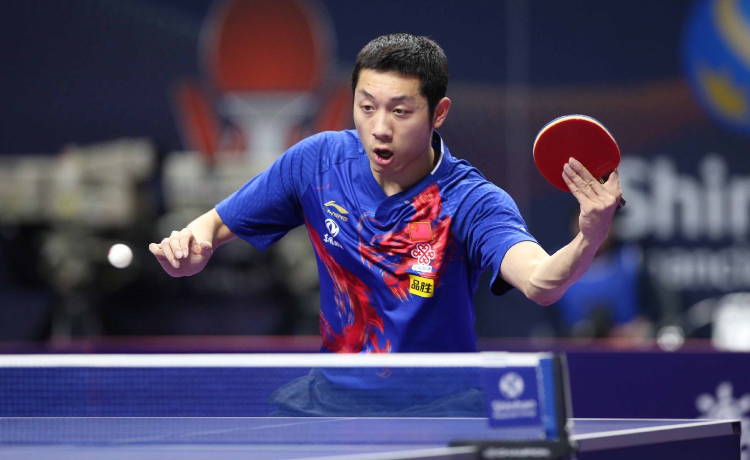 秀中锋的成 秀中锋的成